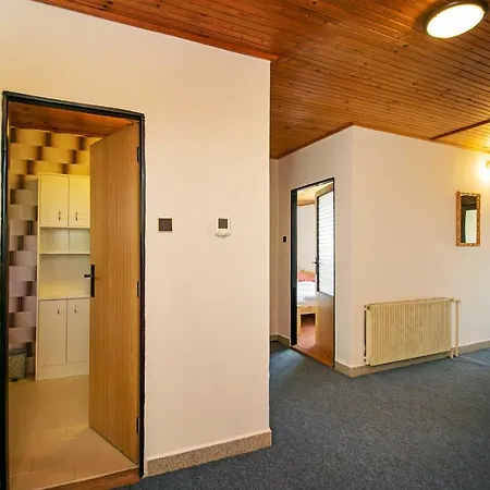 Ferienhaus Anezka